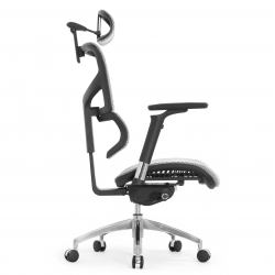 Кресло FALTO SAIL ART 2 (подлокотники 6D(360), сетка, каркас черный, белый)