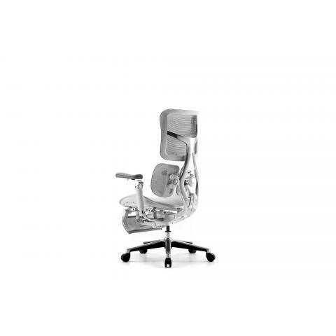 Кресло с подножкой SIHOO Doro S300 (разделенный поясничный упор, сетка, белый)