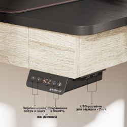 Стол c электрической регулировкой по высоте EUREKA ERK-ED-I55-OG