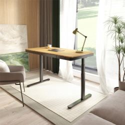 Стол с электроприводом FoxGear LIFTISCH FG-ED-55B