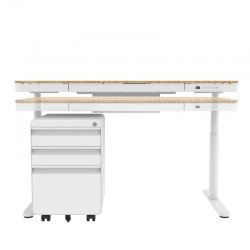 Стол с электроприводом FoxGear LIFTISCH FG-ED-55W