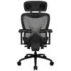 Кресло компьютерное игровое ThunderX3 XTC-Mesh Black