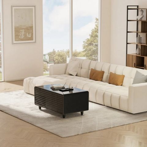 Умный кофейный столик с холодильником EUREKA TB90, Black