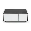 Умный кофейный столик с холодильником EUREKA TB90, White+Black