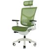 Кресло Expert VISTA VSM01-Т-05 (каркас белый / сетка зелёная)