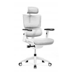 Кресло Expert VISION VIM01-W-Т-06 (каркас белый / сетка белая)